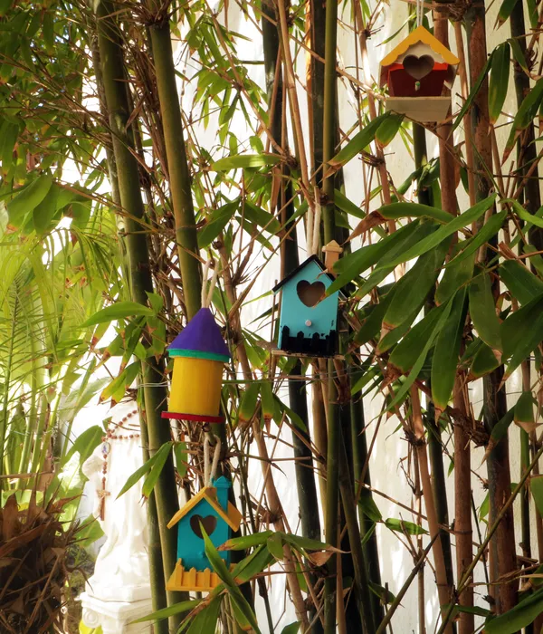 Four colorful, handcrafted wooden birdhouses with heart-shaped openings hang from a lush bamboo plant outdoors.