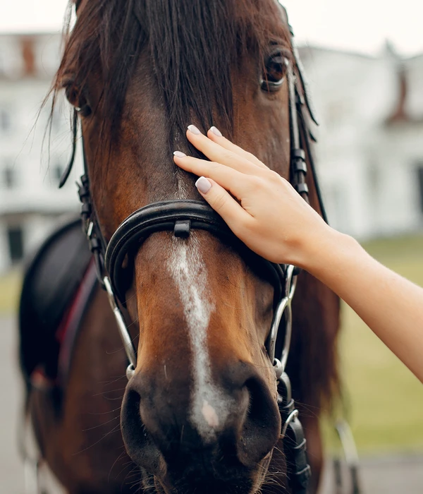beautiful-woman-standing-with-horse-page