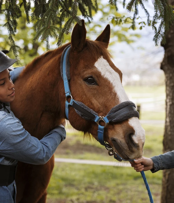 female-equestrian-instructor-teaching-child-how-ride-horse-page
